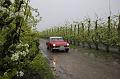 MG Bloesemrit op 24-4-2016 org. Jos&Marie-lou  (110)